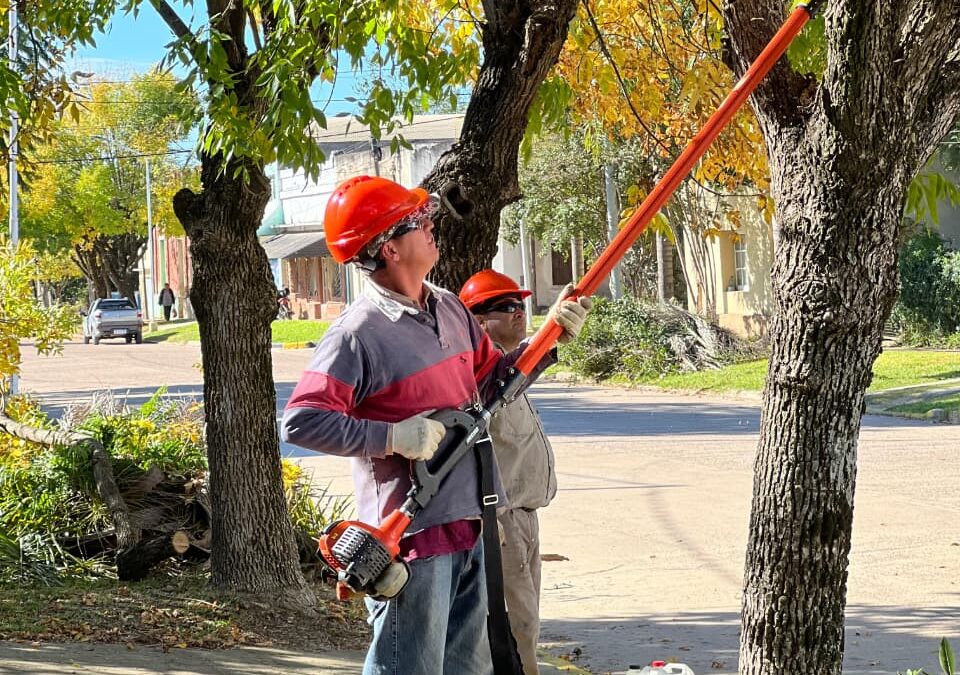Comenzó el Programa Municipal de Poda en Ubajay
