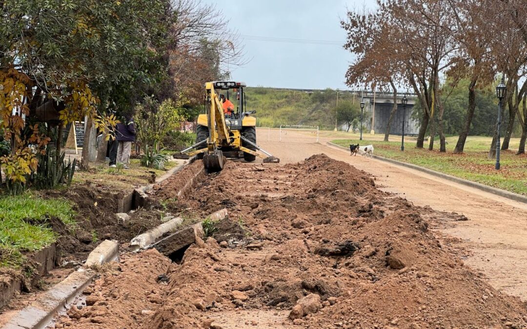 La obra de cordones cuneta y badenes sobre Boulevard Palmar Yatay ingresa en su etapa final