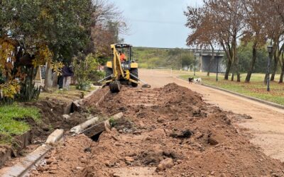 La obra de cordones cuneta y badenes sobre Boulevard Palmar Yatay ingresa en su etapa final
