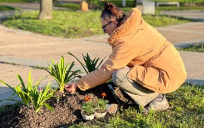 Comenzó la plantación de flores en los espacios verdes de Ubajay