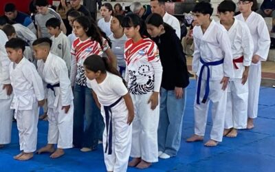 La Escuela Municipal de Karate cerró el año provincial con excelentes resultados